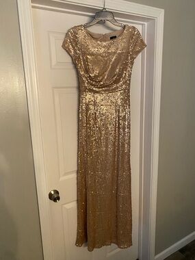Adrianna Papell rose Gold Sequin Maxi Dress